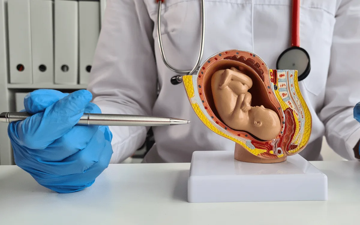 Especialista en Medicina Materno Fetal para Pacientes que Requieren Seguimiento Prenatal Avanzado en CDMX