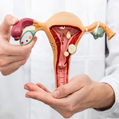 Monitoreo fetal durante la gestación: atención experta en CDMX